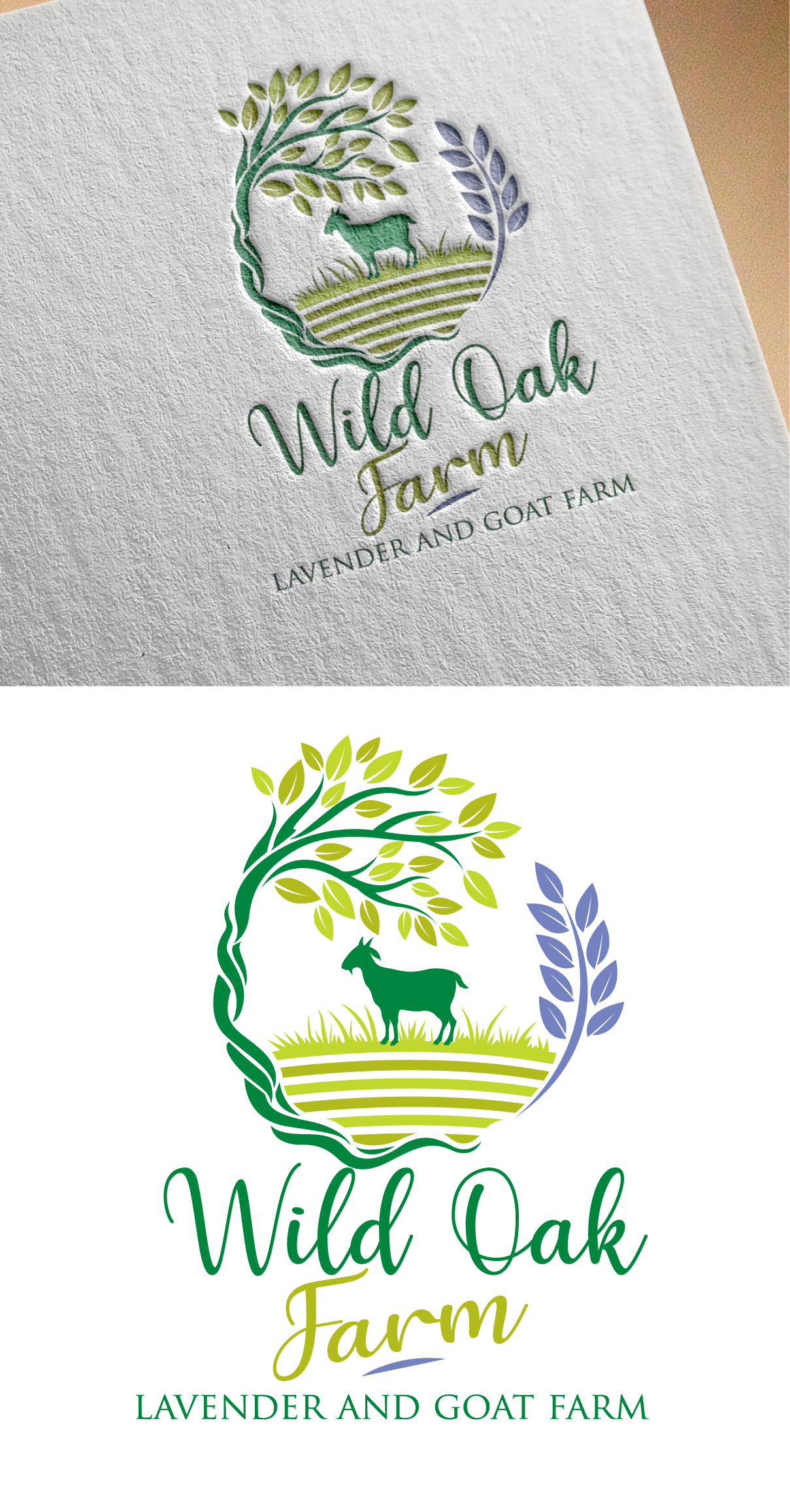 Logo Design by blue eye for this project | Design #27027905