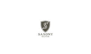 Logo Design by Petar Randjelovic for this project | Design: #27020682