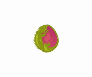 Nothing. Just the design | Logo Design by aussieshayno