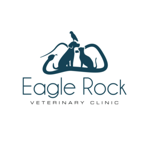 Logo Design by MT