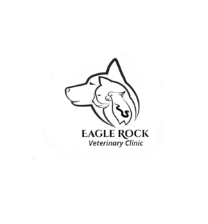 Logo Design by designerdhyani