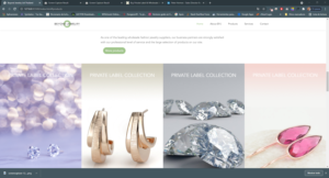 Web Design by ileanalp for this project | Design: #27037343