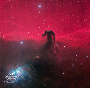 Logo Design by Habeeb Muhammad for this project | Design: #27029587