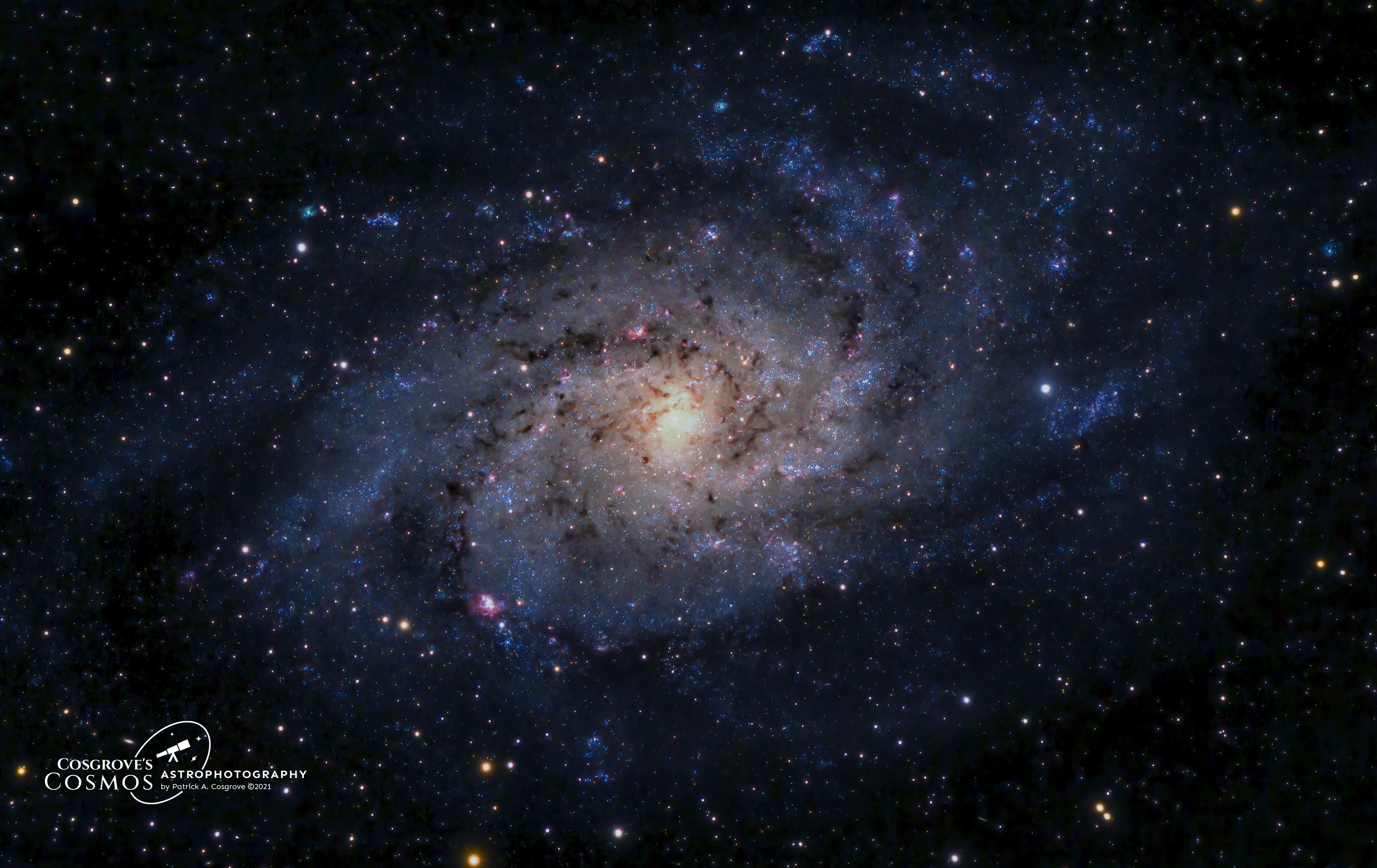 Logo Design by Habeeb Muhammad for this project | Design #27041273