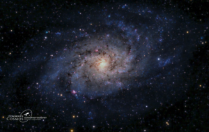 Logo Design by Habeeb Muhammad for this project | Design: #27041273