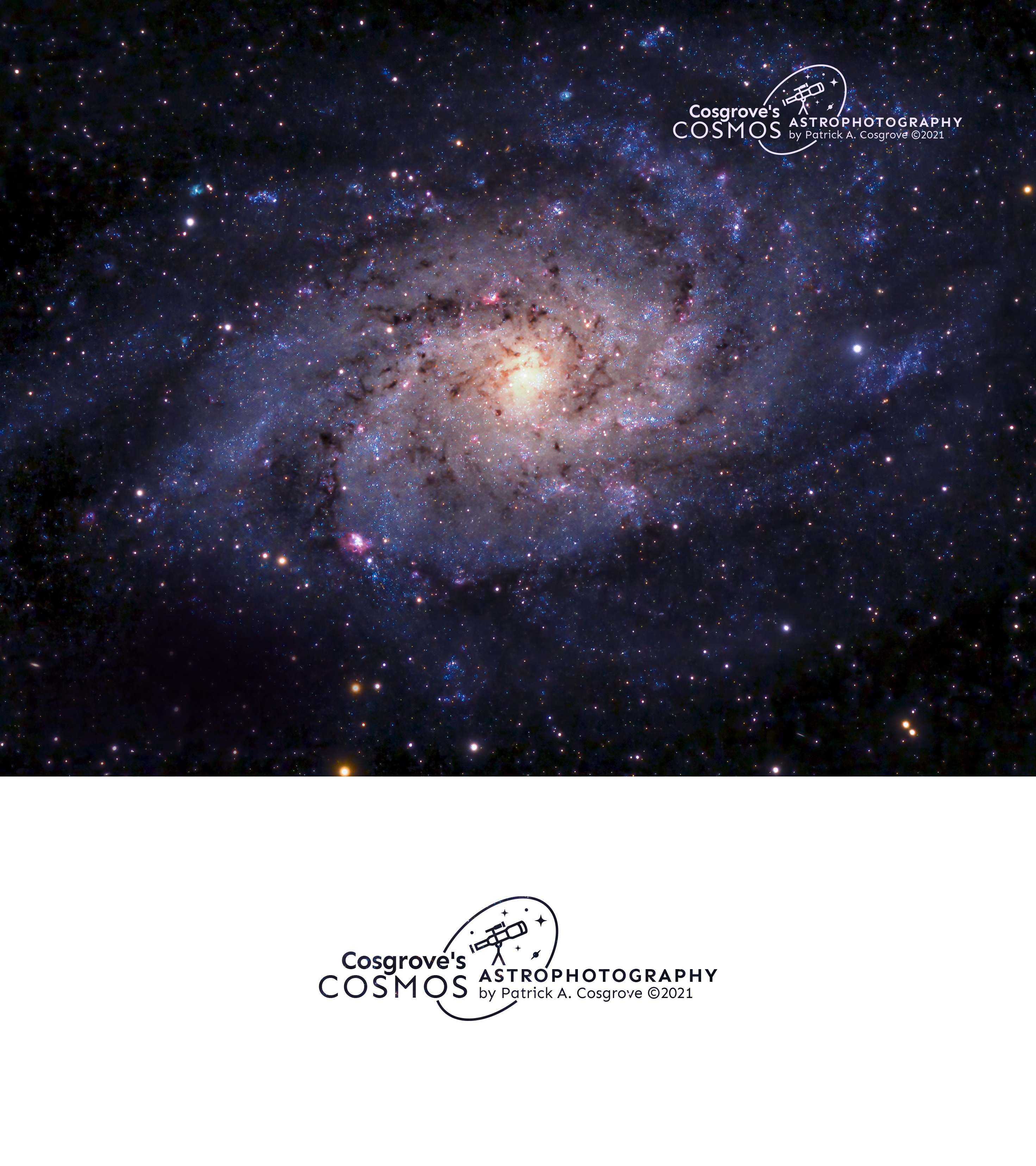 Logo Design by Habeeb Muhammad for this project | Design #27043096