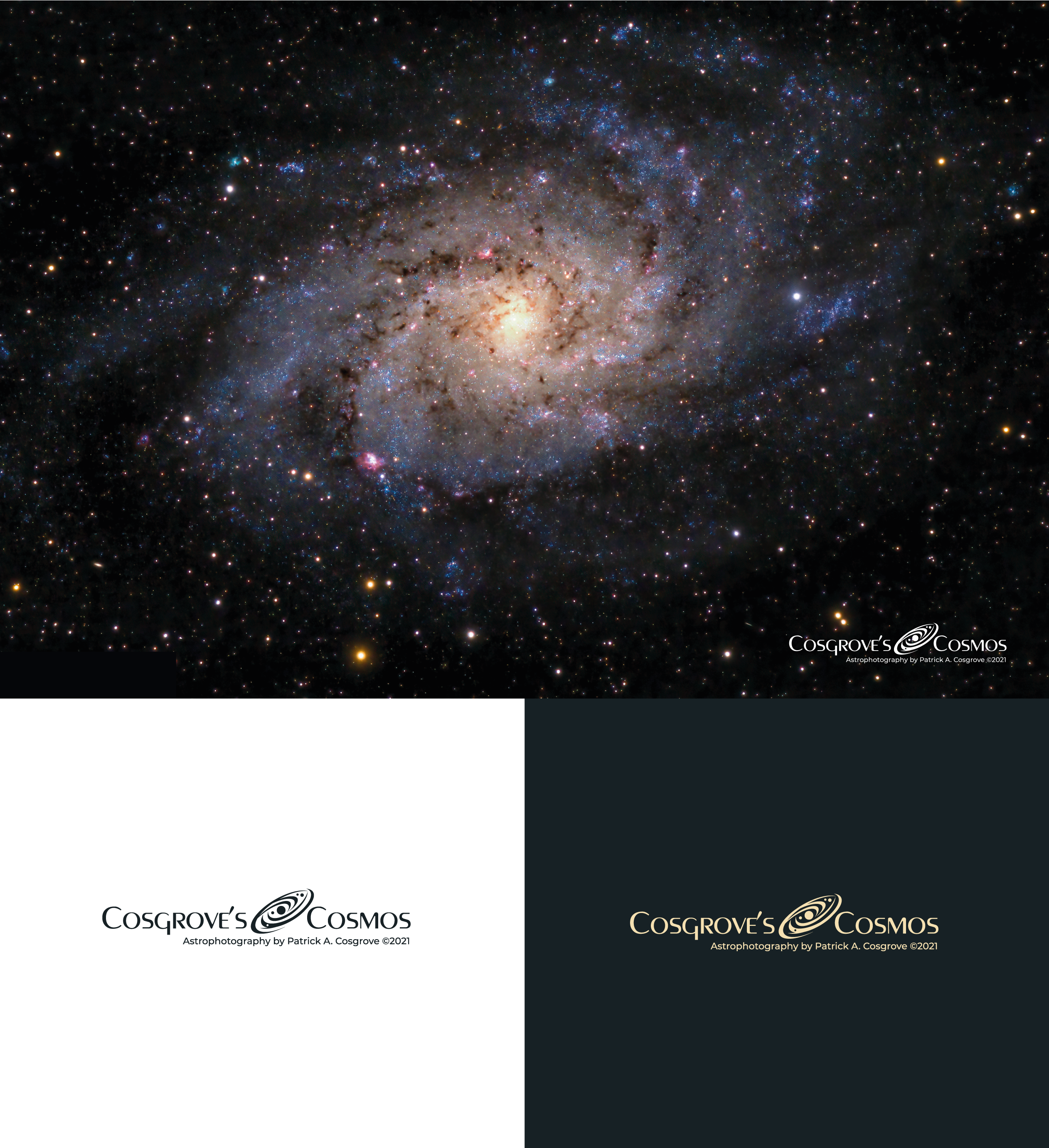 Logo Design by Taya Bright for this project | Design #27027576