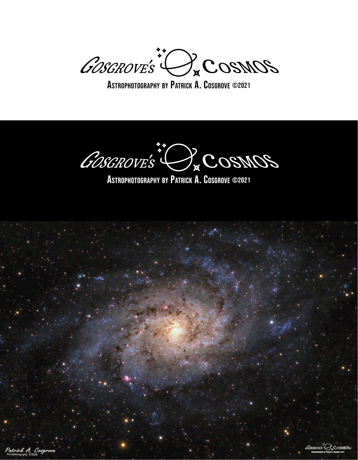 Logo Design by Brandão for this project | Design #27028369