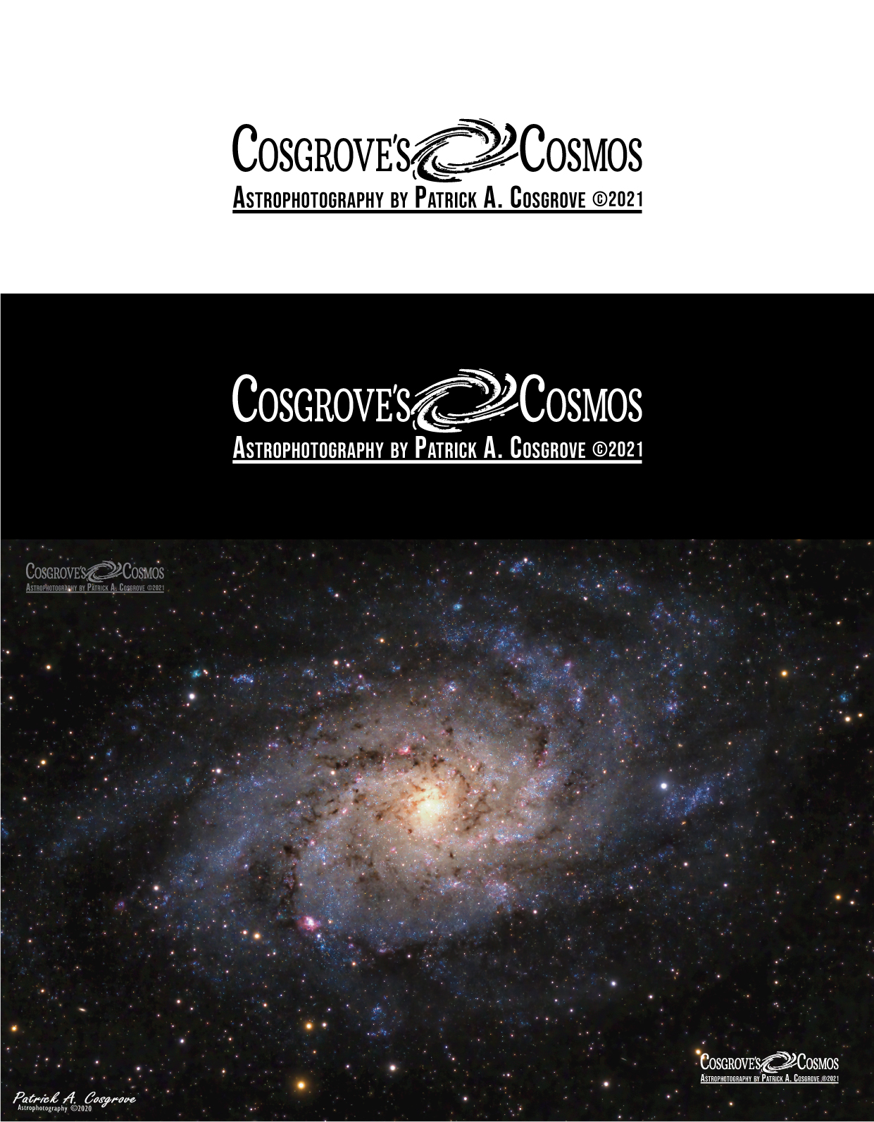 Logo Design by Brandão for this project | Design #27029036