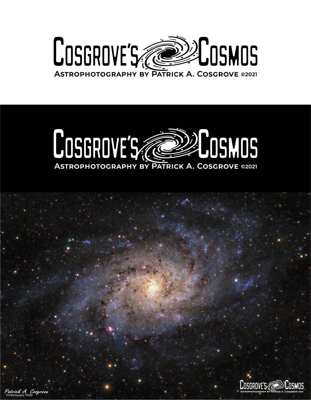 Logo Design by Brandão for this project | Design #27033862