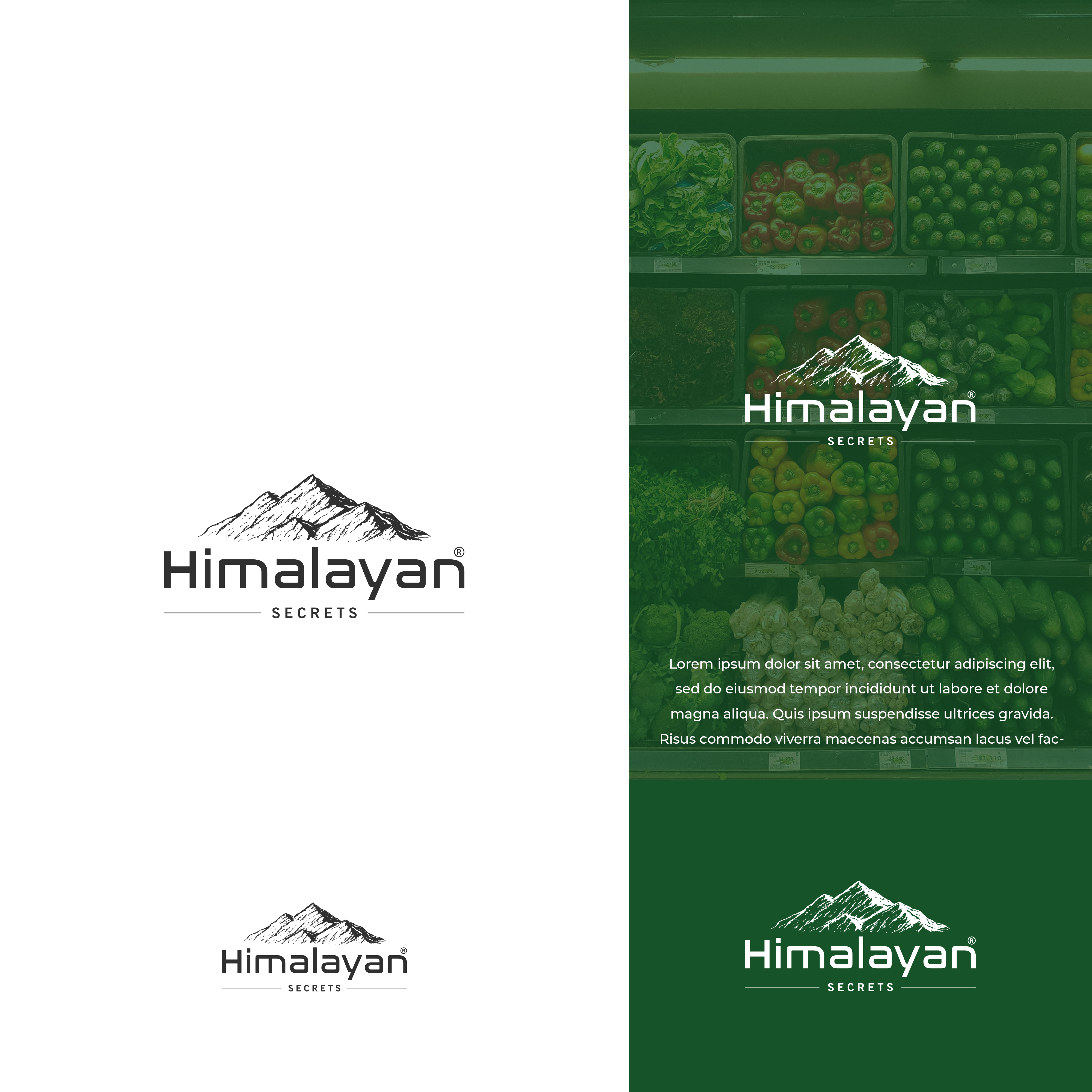 Logo Design by vramar.roy for Himalayan Secrets, LLC | Design #27028427