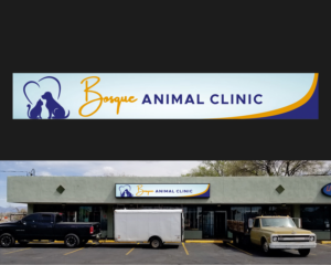 Graphic Design by ecorokerz for this project | Design: #27030966