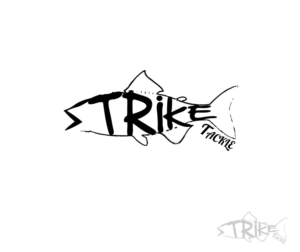 Logo Design by Honey Pandya