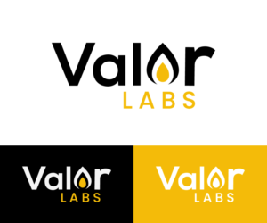 Valor Labs | Logo Design by BabAgori