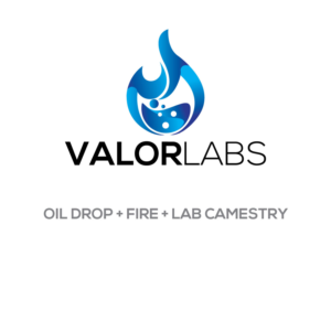 Valor Labs | Logo Design by Jennifer©