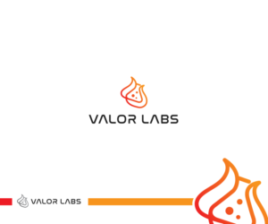 Valor Labs | Logo Design by ecorokerz