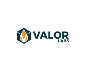 Logo Design by kimcam for this project | Design: #27082208