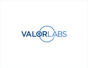 Valor Labs | Logo Design by BNdesigner