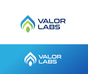 Valor Labs | Logo Design by Ng V Duc