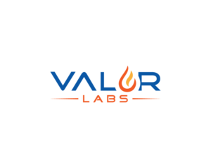 Valor Labs | Logo Design by MarkCraft
