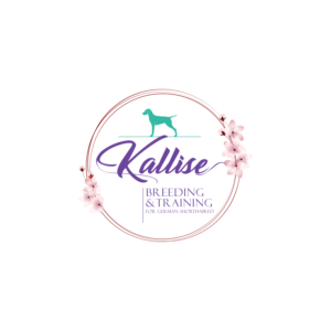 Logo Design by NIXXON for this project | Design #27042842