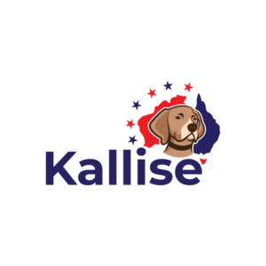 Kallise | Logo Design by Graphic Bricks