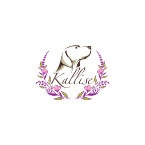 Design de Logo par prodesigns99 pour ce projet | Design : #27058750