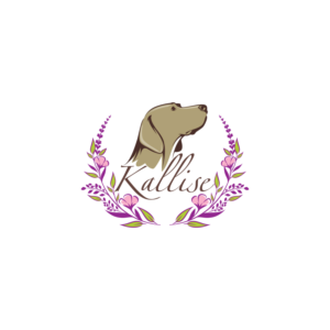 Design de Logo par prodesigns99 pour ce projet | Design : #27058751