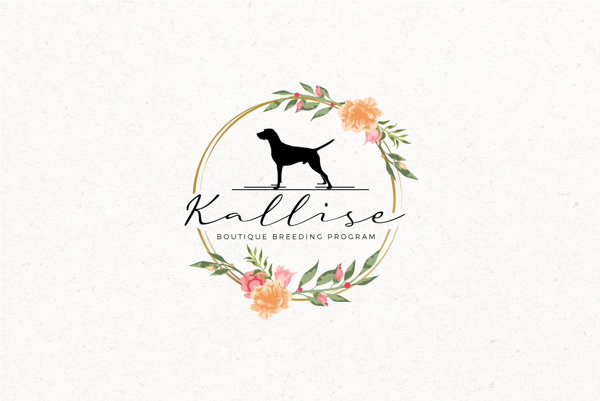 Logo-Design von step forward 2 für dieses Projekt | Design #27036675