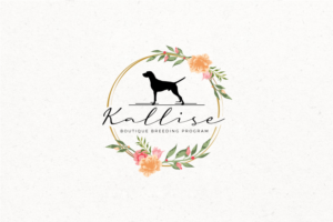 Kallise | Logo Design by step forward 2