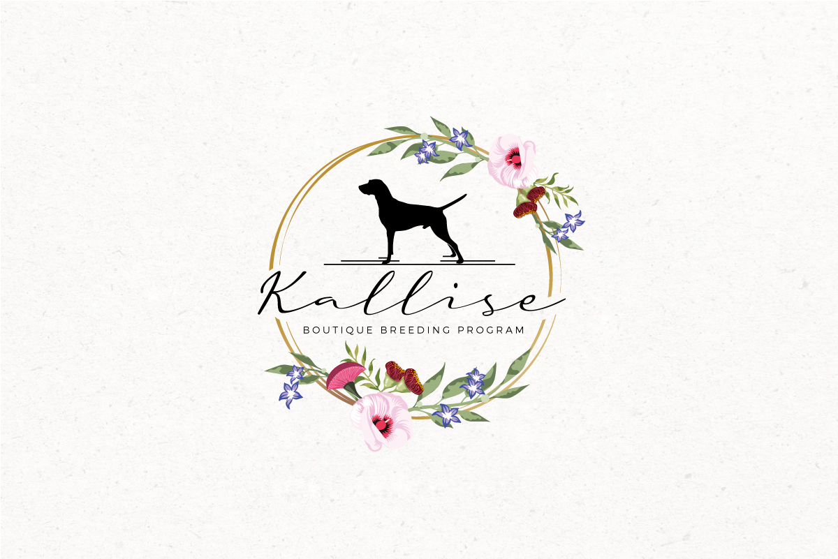 Logo Design by step forward 2 for this project | Design #27058608