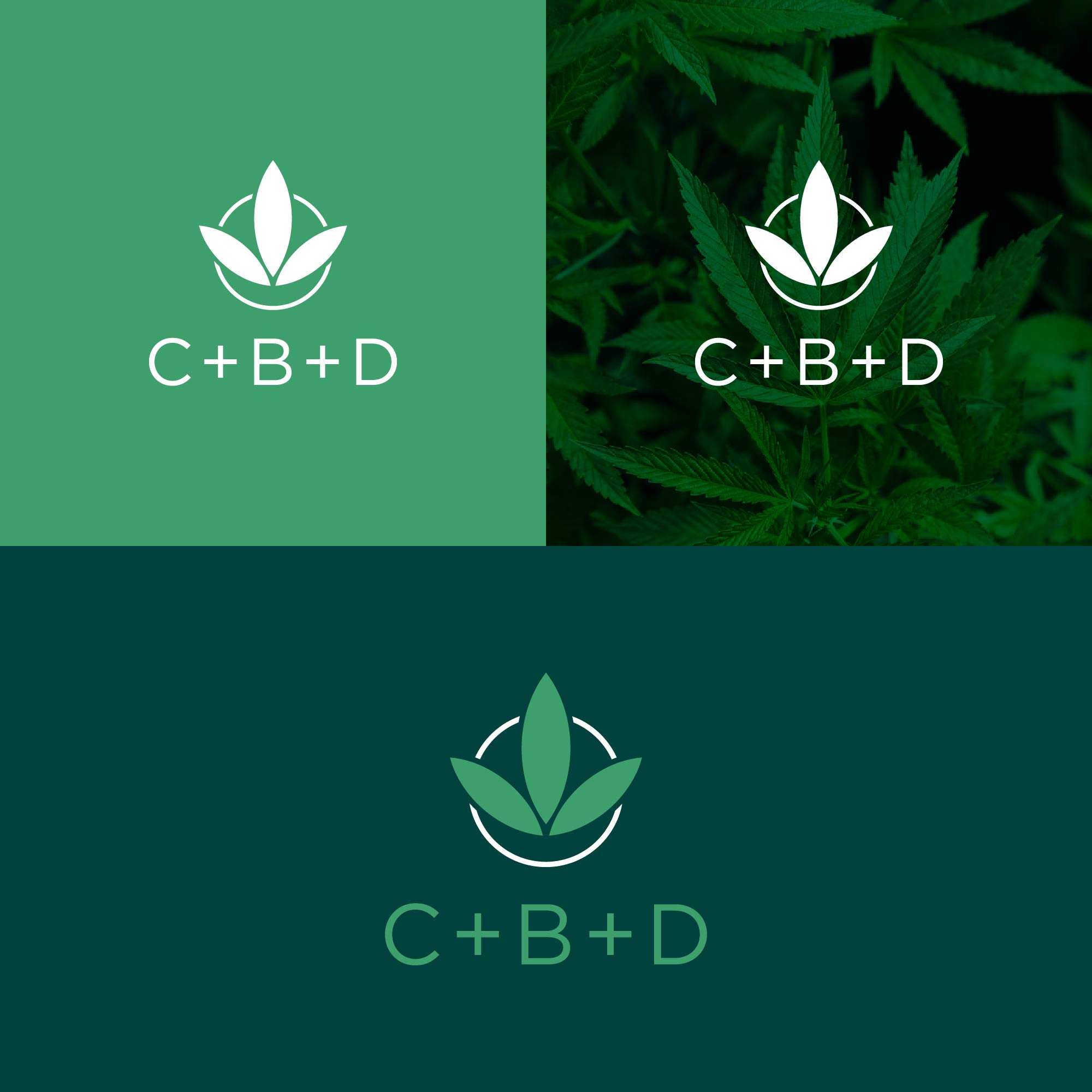 Logo Design by kaushal 05 for this project | Design #27036774