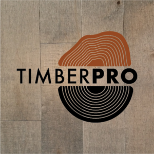 Logo Design by aputski
