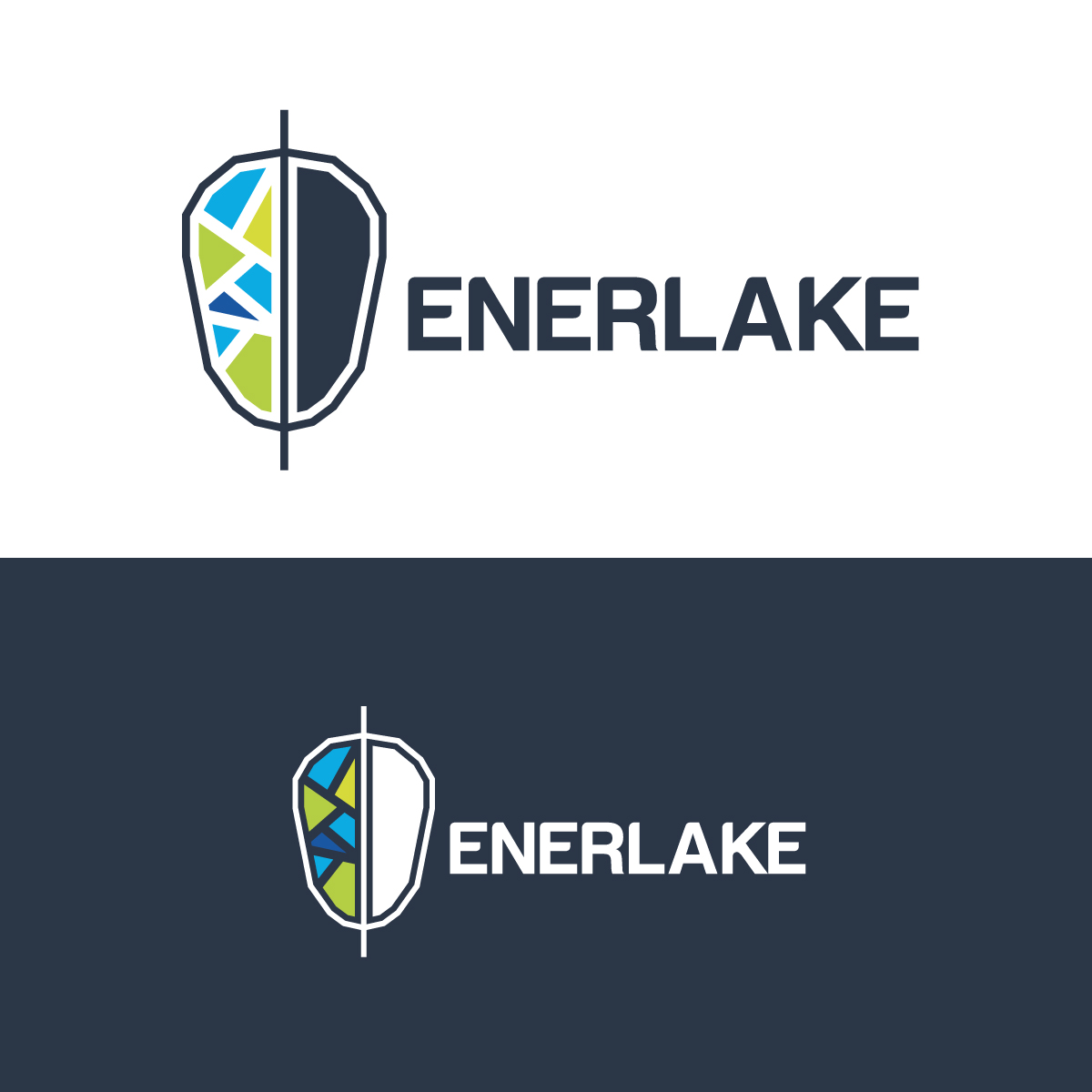 Design de Logo par Graphic Bricks pour ENERLAKE | Design #27042213
