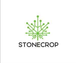 Logo Design by Vishak vasu