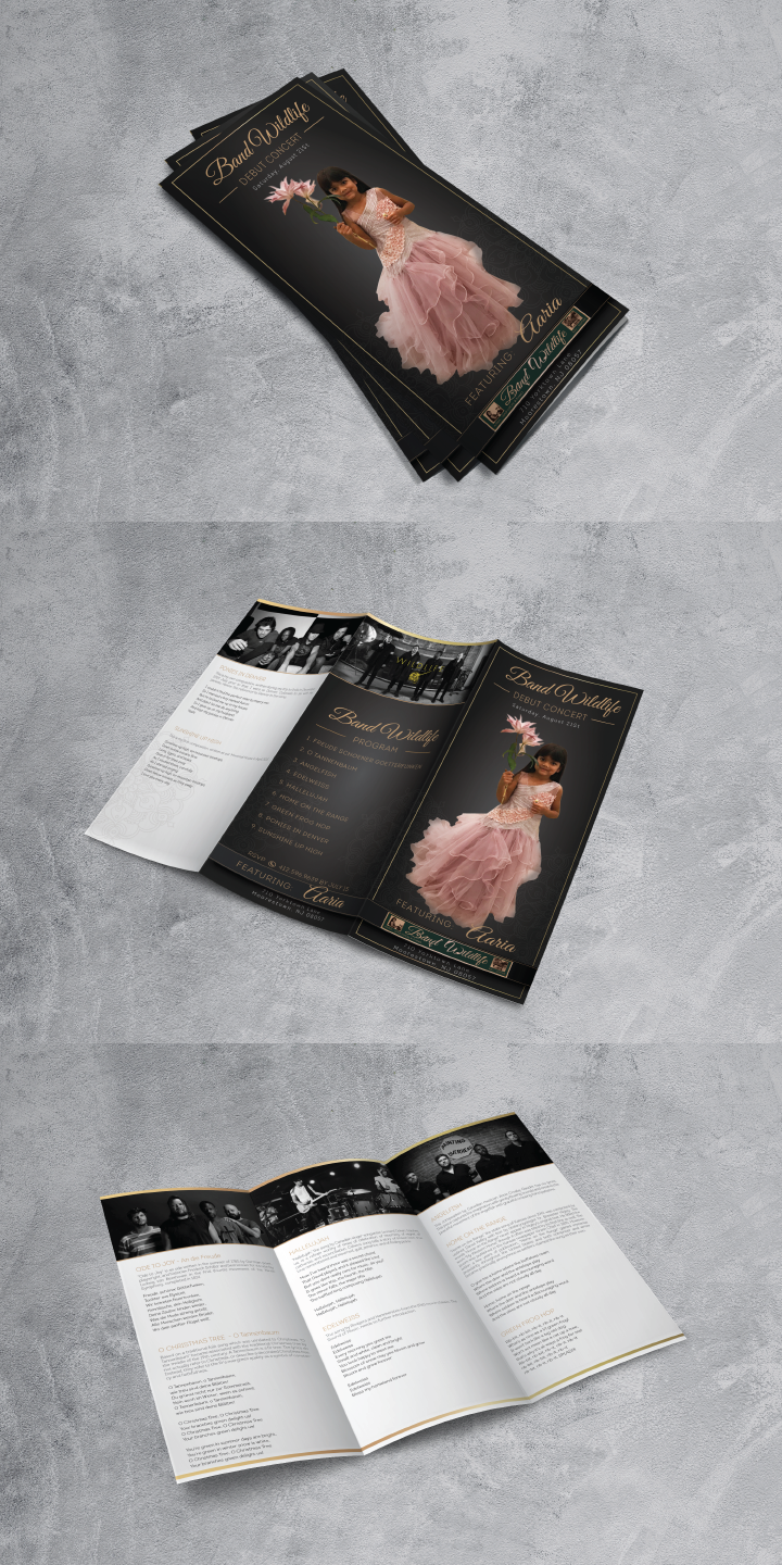 Brochure Design by alex989 for this project | Design #27056396