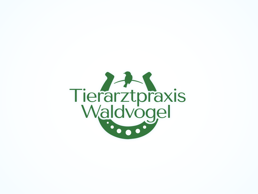 Logo Design by jaime.sp for this project | Design #27059206