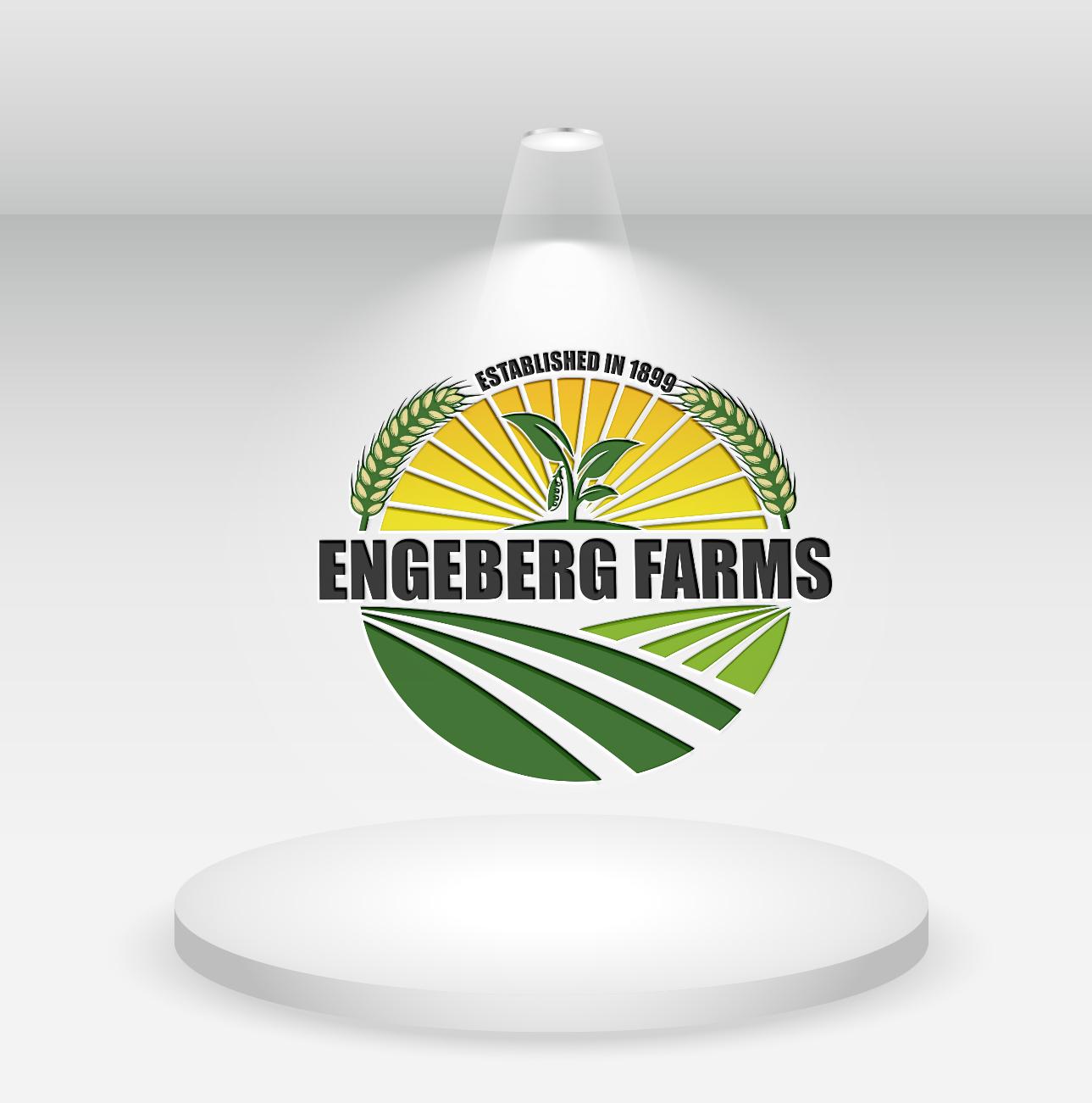 Design de Logo par JUEL RANA 525340 pour ce projet | Design #27066531