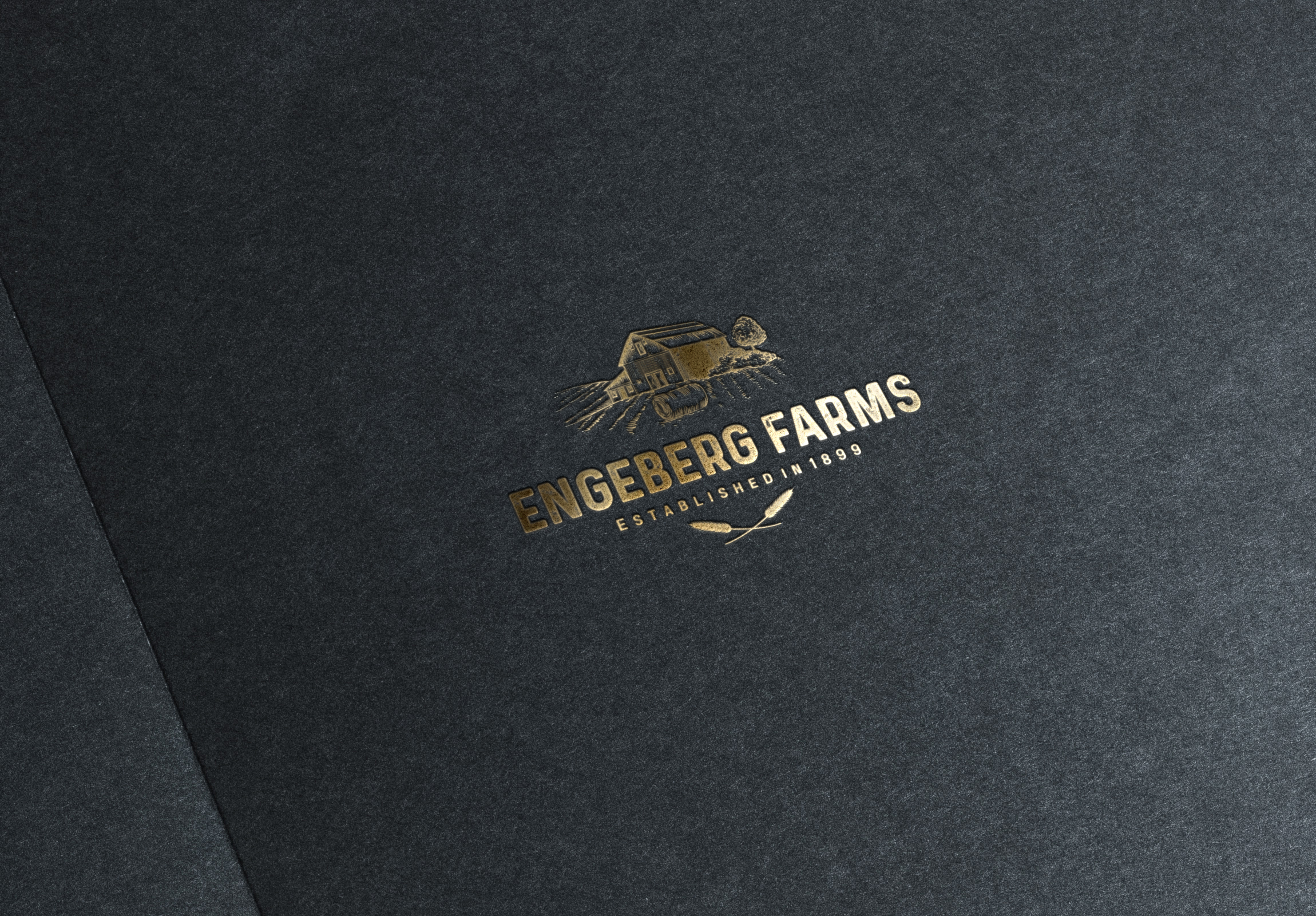 Logo Design by A.STUDIO for this project | Design #27073324