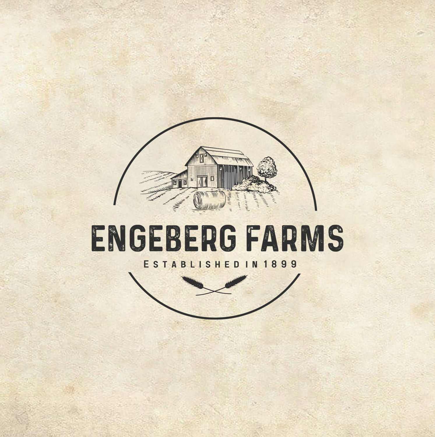 Logo Design by A.STUDIO for this project | Design #27073496