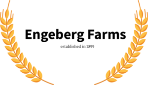Design de Logo par abdelrahman 6 pour ce projet | Design #27051754