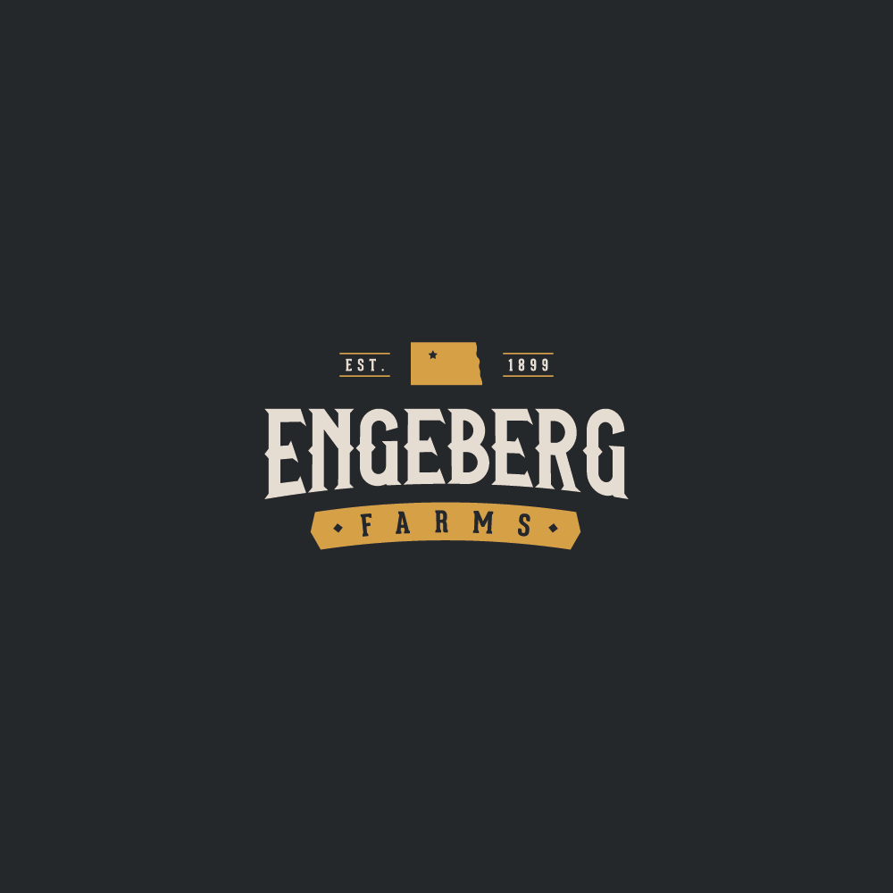 Diseño de Logo por daniel462medina para este proyecto | Diseño #27133801
