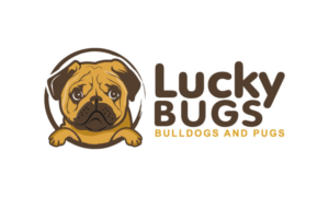 Design de Logo par logoQ pour ce projet | Design : #27051135