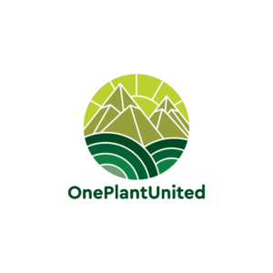 Logo Design by pedro nuno for this project | Design: #27049429