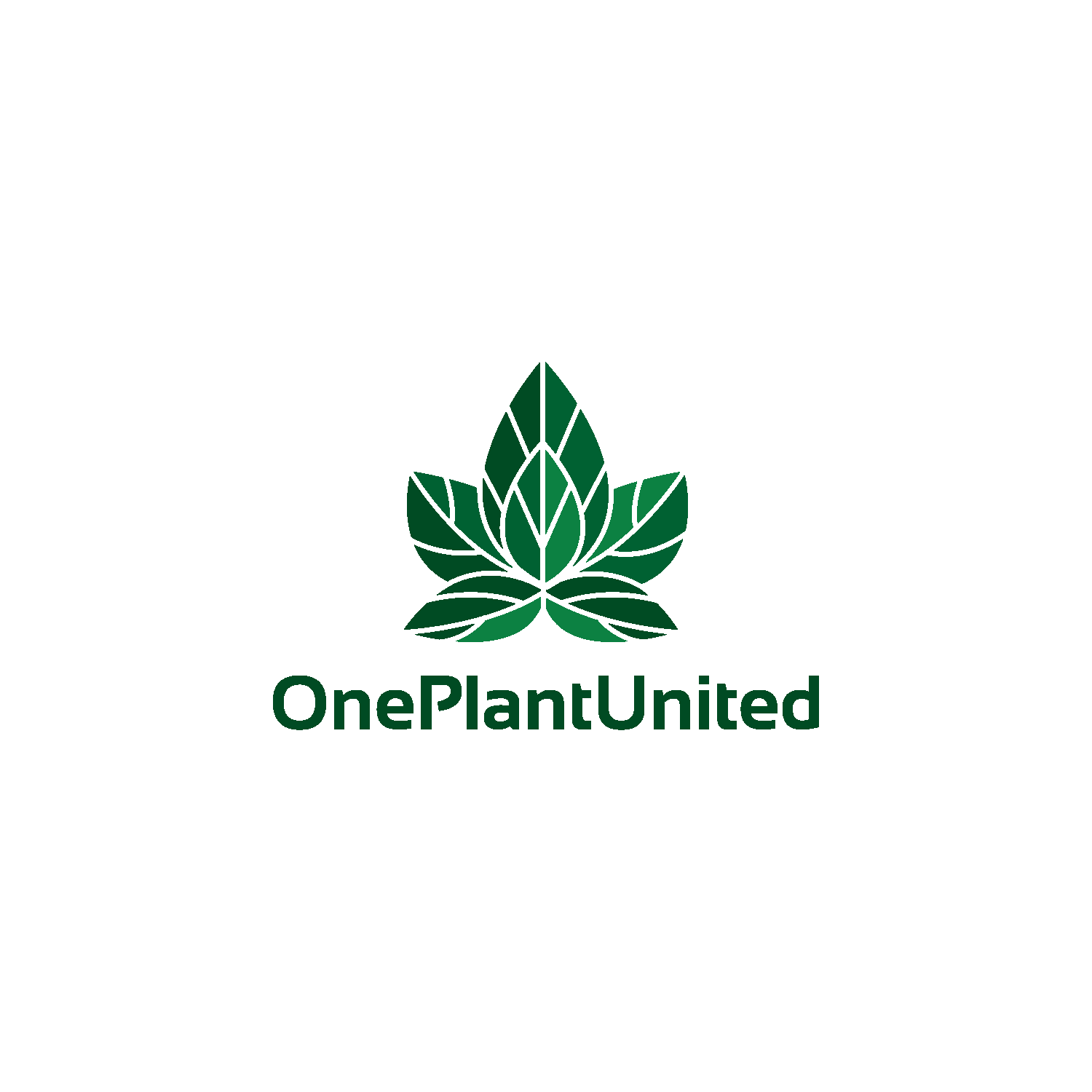 Logo Design by pedro nuno for this project | Design: #27049433