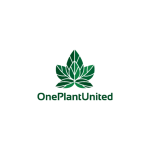Logo Design by pedro nuno for this project | Design: #27049433