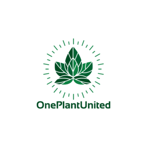 Logo Design by pedro nuno for this project | Design: #27059783