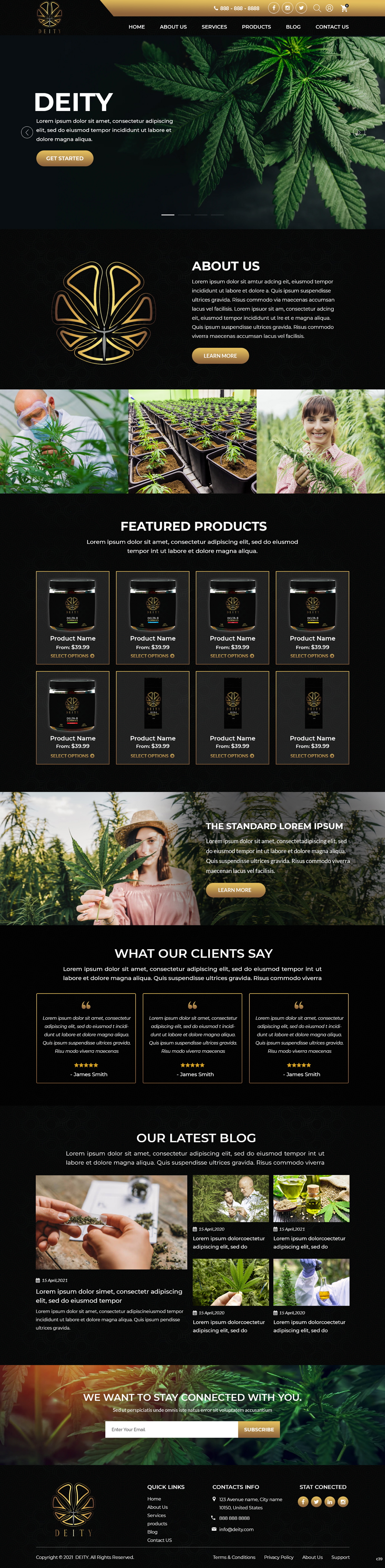 Web Design by pb for NVUS Labs | Design #27066775