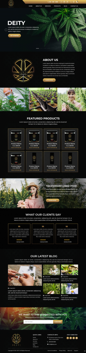Web Design by pb for NVUS Labs | Design #27066775
