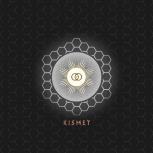 Kismet Compliance Management System | Logo Design by Creative Shots Studio